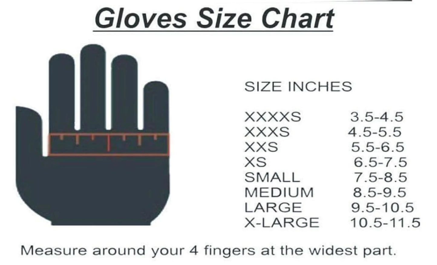 F1 Alpinestar Gloves